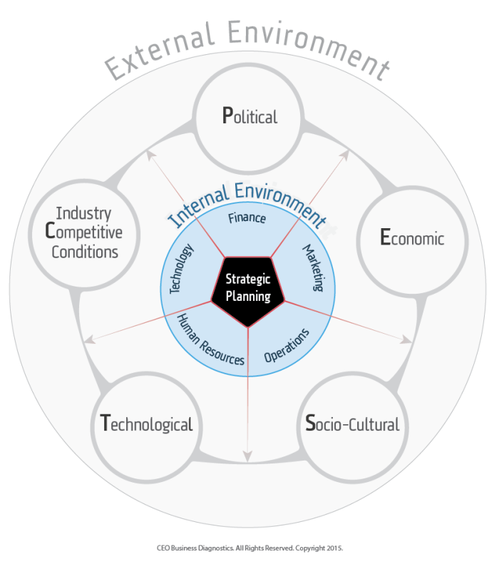 Business Diagnostics Framework CEO Business Diagnostics